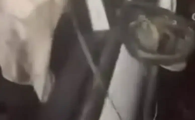 Diyarbakır Sur'da On Gözlü Köprü mevkiinde trafik kazası: 7 kişi yaralandı