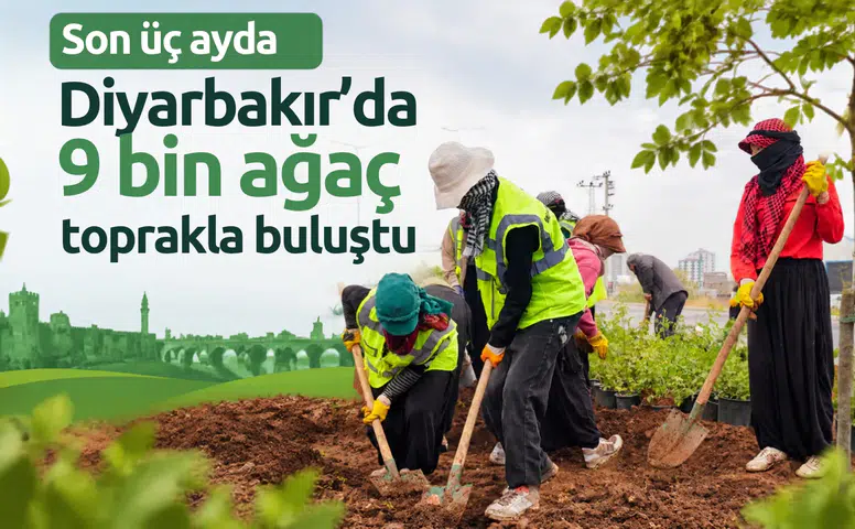Diyarbakır'da yeşil dönüşüm: Son üç ayda 9 bin ağaç toprakla buluştu