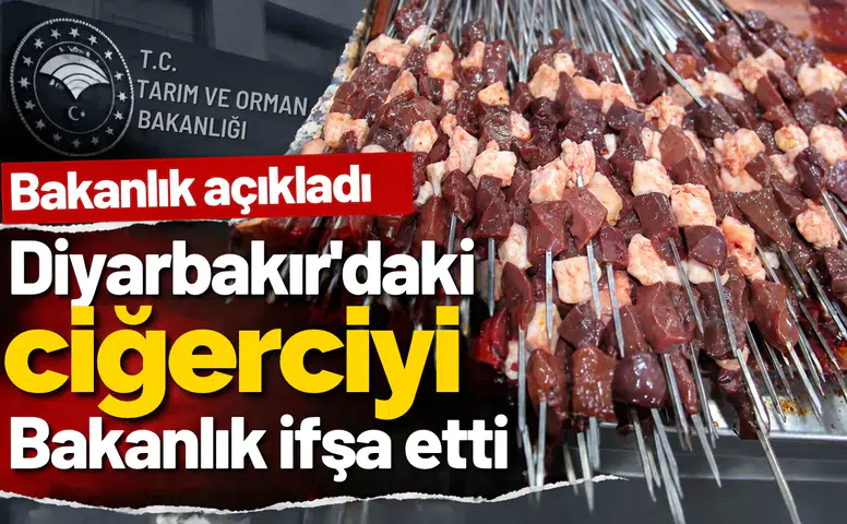 Diyarbakır'daki ciğerci ifşa listesine girdi: Adana Kebap'ta bakın ne çıktı!
