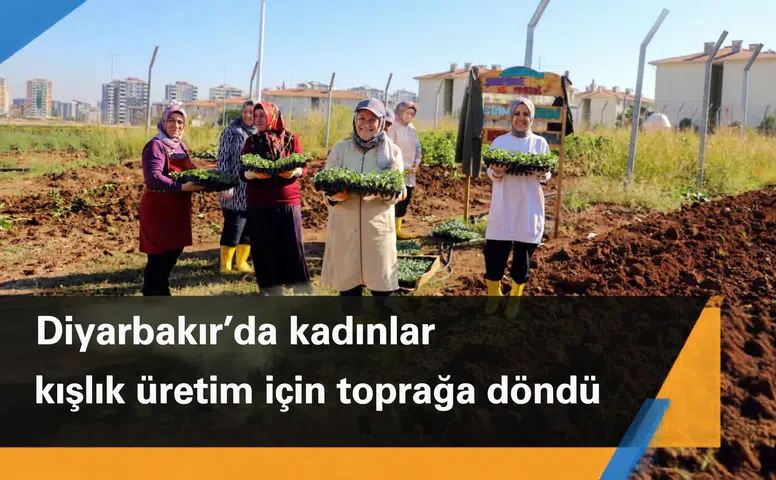 Diyarbakır'da kadınlar kışlık üretim için toprağa döndü: Kararları da onlar alıyor