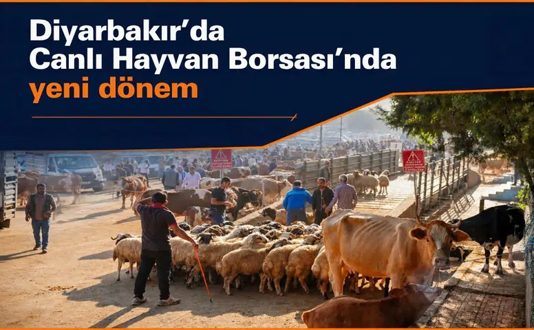 Diyarbakır'da Canlı Hayvan Borsası'nda yeni dönem: Çalışma günleri değişti