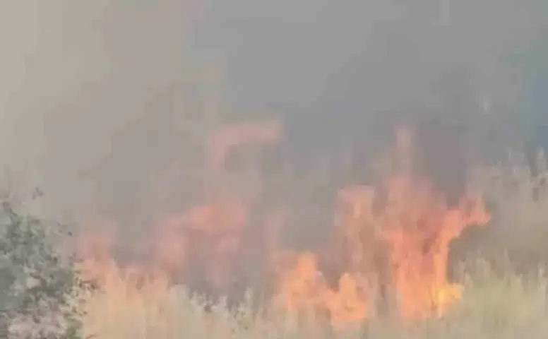 Çermik Çukur Mahallesi'nde anız yangını tehlikesi Alevler evlere ulaşmadan durduruldu