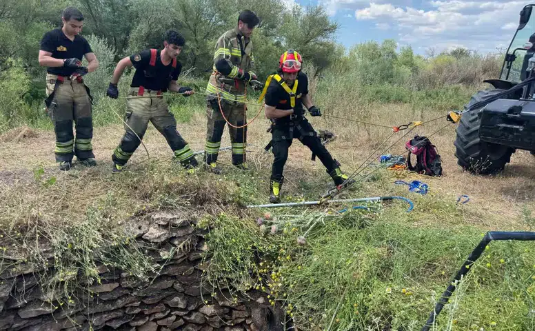 Sur ilçesinde kuyuda mahsur kalan yaban domuzu itfaiyenin çabasıyla kurtarıldı