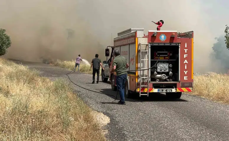 Diyarbakır Eğil'de buğday hasadı öncesi felaket Yüzlerce dönüm arazi alevlere teslim oldu