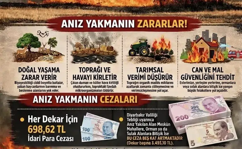 Diyarbakır'da anız yangınlarına karşı ağır yaptırım Dekar başına 698 lira ceza kesilecek