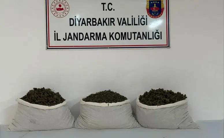 Diyarbakır jandarmasından zehir tacirlerine ağır darbe 107 kilogram esrar yakalandı