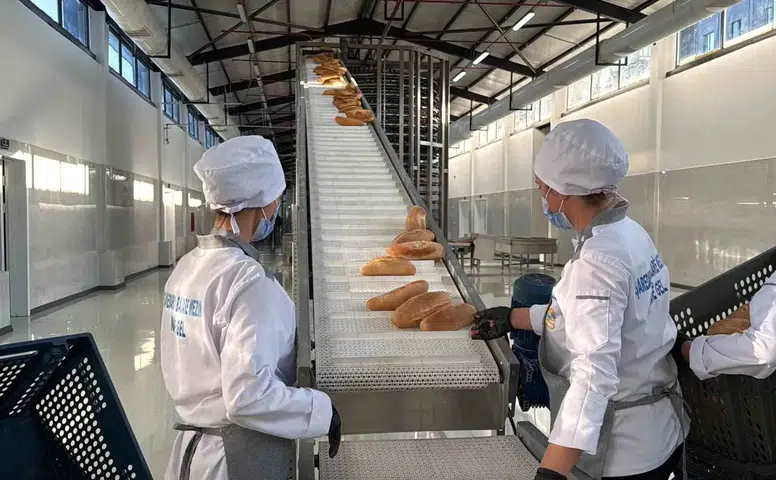 Diyarbakır Büyükşehir'in yeni ekmek fabrikası Bağlar'da üretime başladı İlk etapta 40 bin