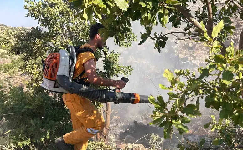 Hazro Dadaş Mahallesi'ndeki ormanlık alanda yangın felaketi 15 dönüm zarar gördü