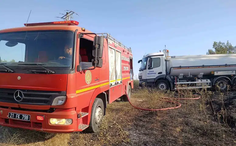 Çınar ilçesindeki anız yangını doğayı vurdu Elektrik direğindeki iki leylek telef oldu