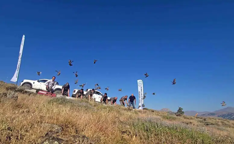 Diyarbakır'ın ekosistemi için kene nöbeti Doğaya yüzlerce kınalı keklik bırakıldı