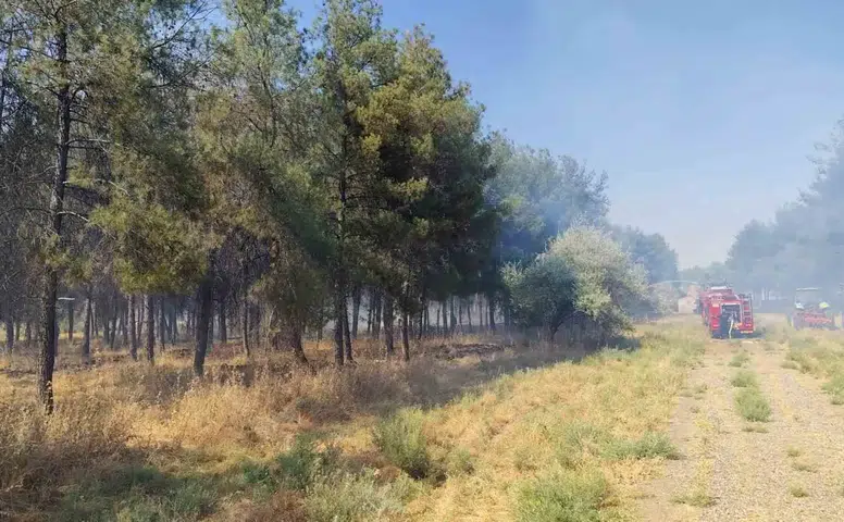 Dicle Üniversitesi Onkoloji Hastanesi çevresinde korkutan yangın Ekipler müdahale etti