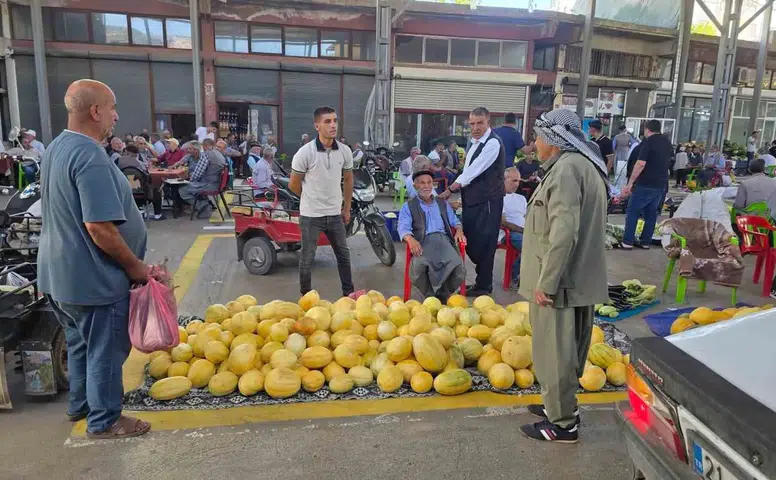 Diyarbakır'da temuhane kavunu bereketi Çermik'in meşhur lezzeti tezgahlarda yerini aldı