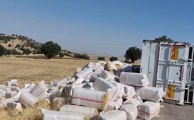 Çermik'te saman yüklü kamyon devrildi: Yol kısa süreliğine kapandı, yaralanan yok