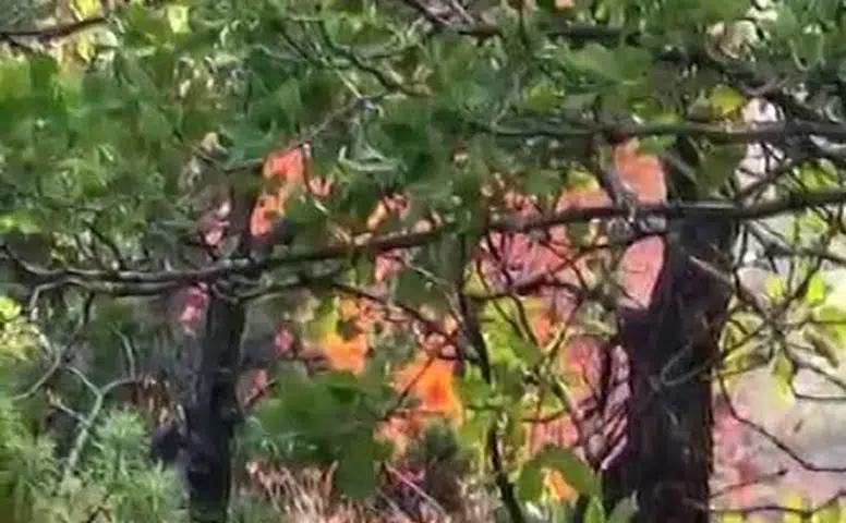 Dicle ve Hani arasındaki dağlık bölgede yangın alarmı Ekipler zorlu arazide mücadele ediyor