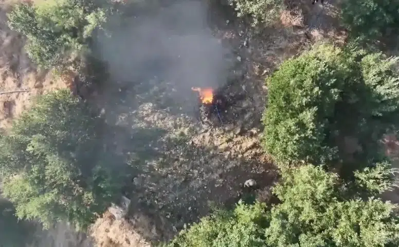 Diyarbakır'ın beş ilçesinde narkotik operasyonu Milyonlarca kök kenevir imha edildi