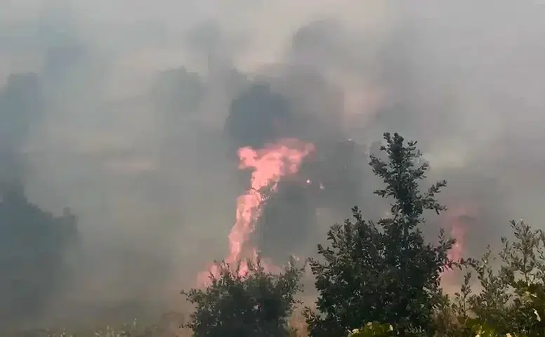 Lice'nin Kıpçak Mahallesi'nde orman yangını 400 dönümlük arazi küle döndü