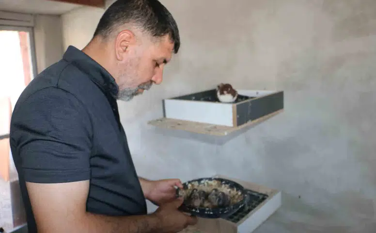 Diyarbakır Bağlar’daki güvercin oteli yangının izlerini sildi 21 farklı ırk yeniden buluştu