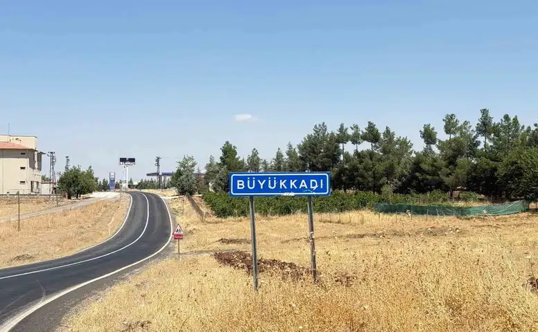 Diyarbakır'ın Sur ilçesinde yürek burkan olay Kedi ısırması sonucu kuduz çıktı