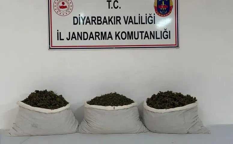 Diyarbakır'da jandarmadan büyük narkotik operasyonu: Tonlarca kenevir ele geçirildi