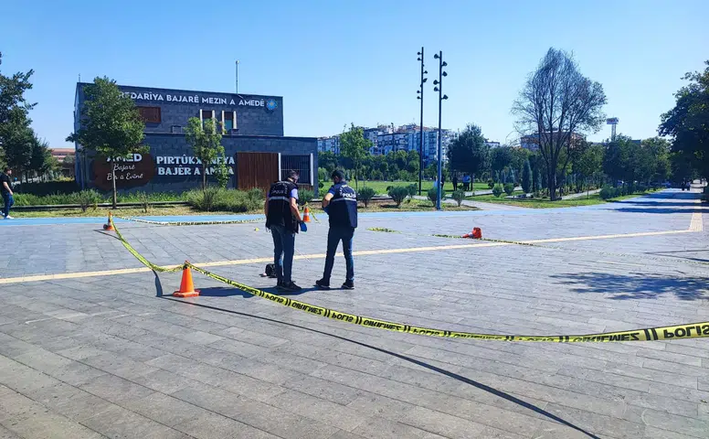 Diyarbakır Yenişehir'de kadın cinayeti: Boşandığı eşini öldüren şahıs intihar etti