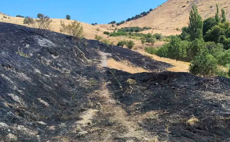 Diyarbakır Ergani'de anız yangını dehşeti: 100 dönümlük arazi küle döndü