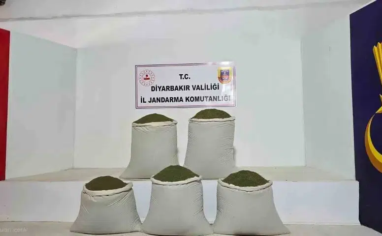 Diyarbakır'da jandarma operasyonu: Binlerce kök kenevir ve tonlarca esrar ele geçirildi