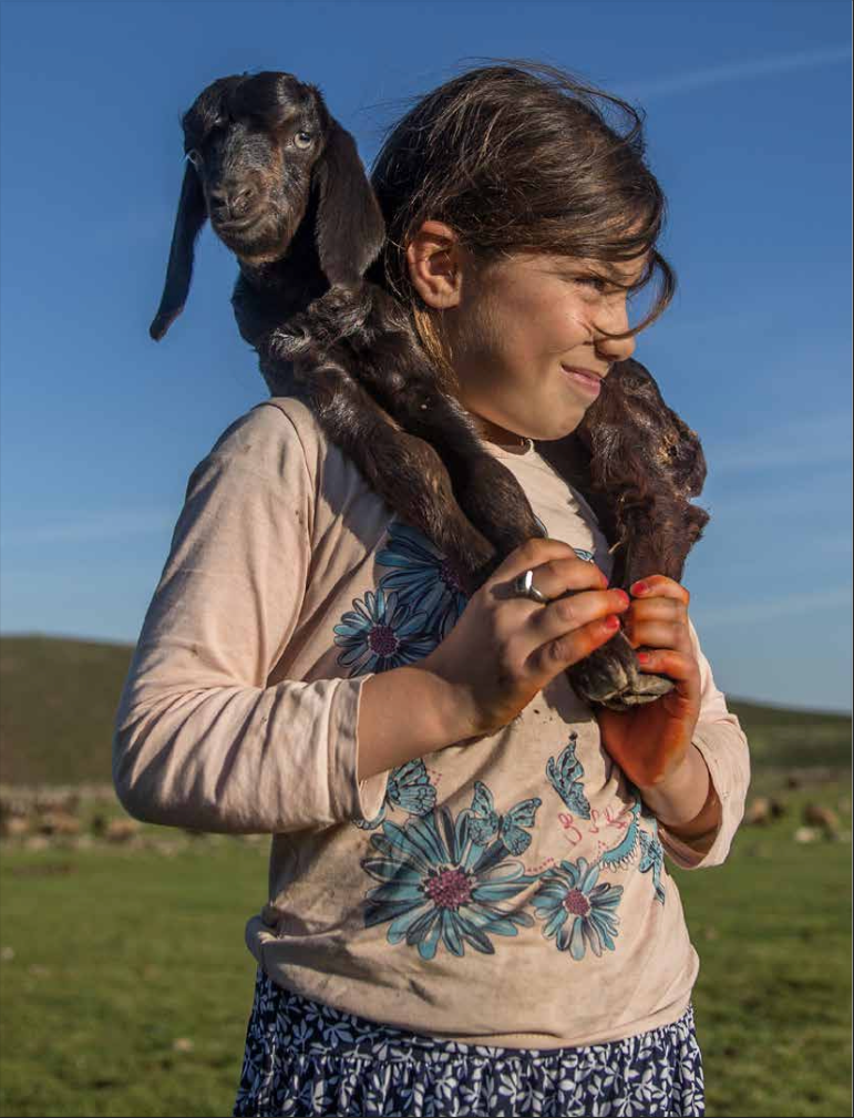 Karacadağ