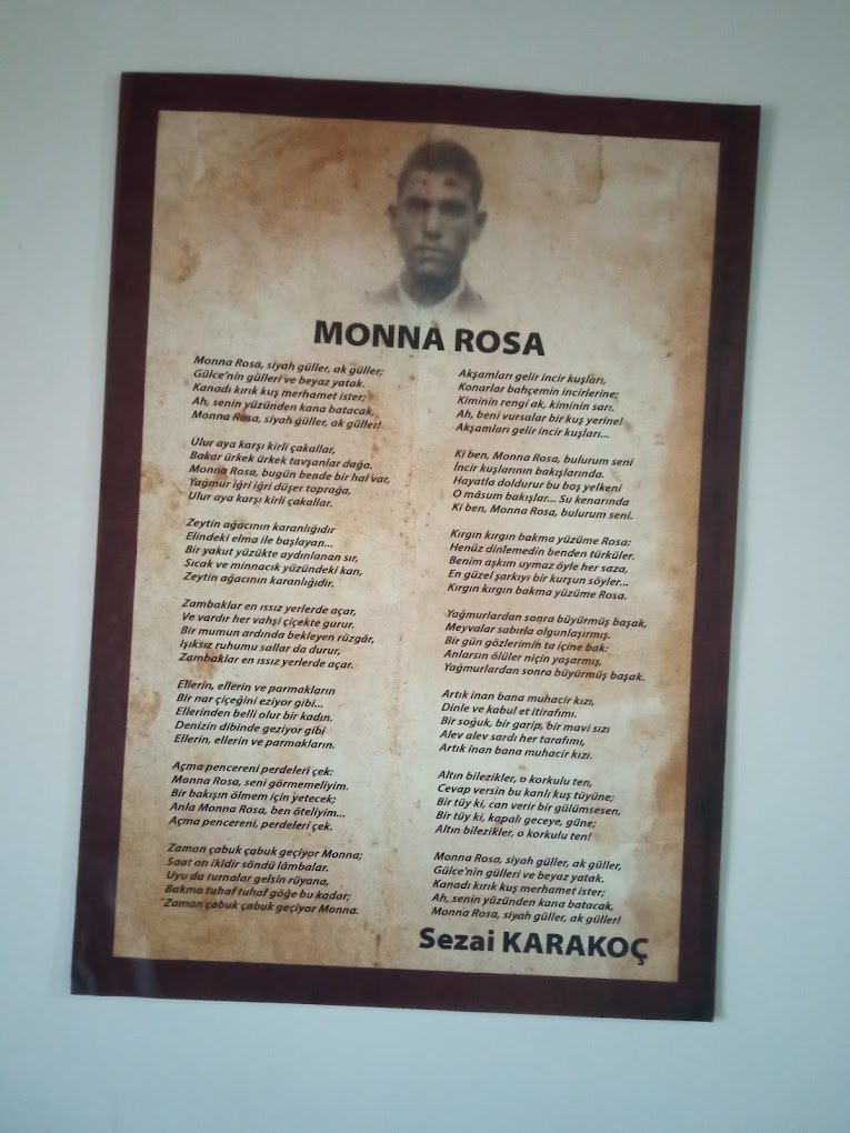 Mona Rosa