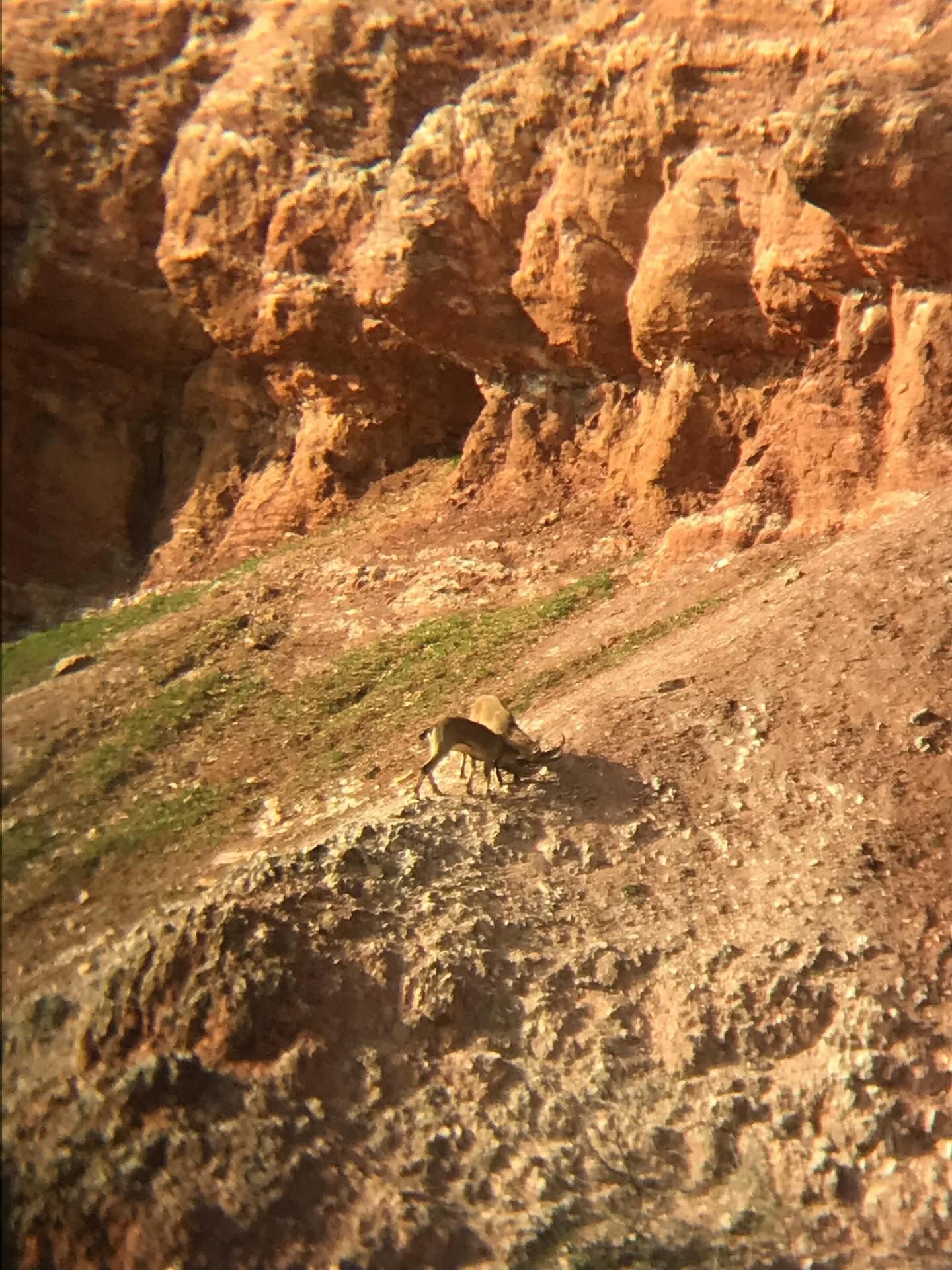 14Ed8104 B838 4315 Aa7F A027Bdfe63De