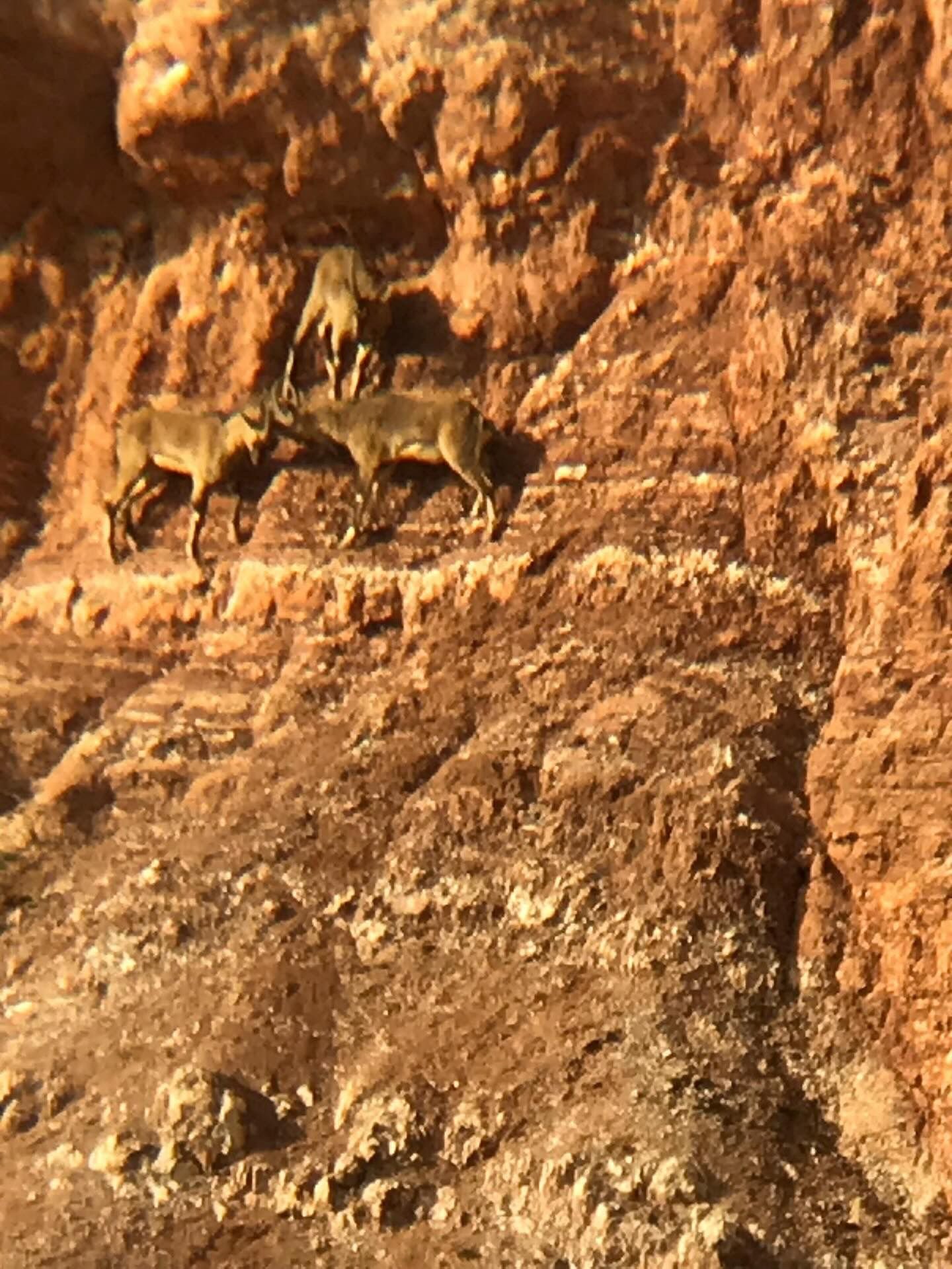 5A490F15 Db89 4650 9C00 A02699D87922