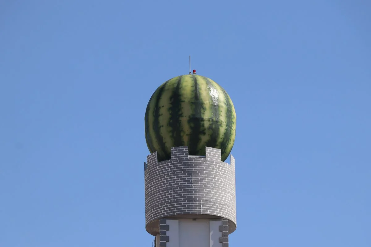 Diyarbakır'ın tescilli simgesi: Diyarbakır karpuzu! 4