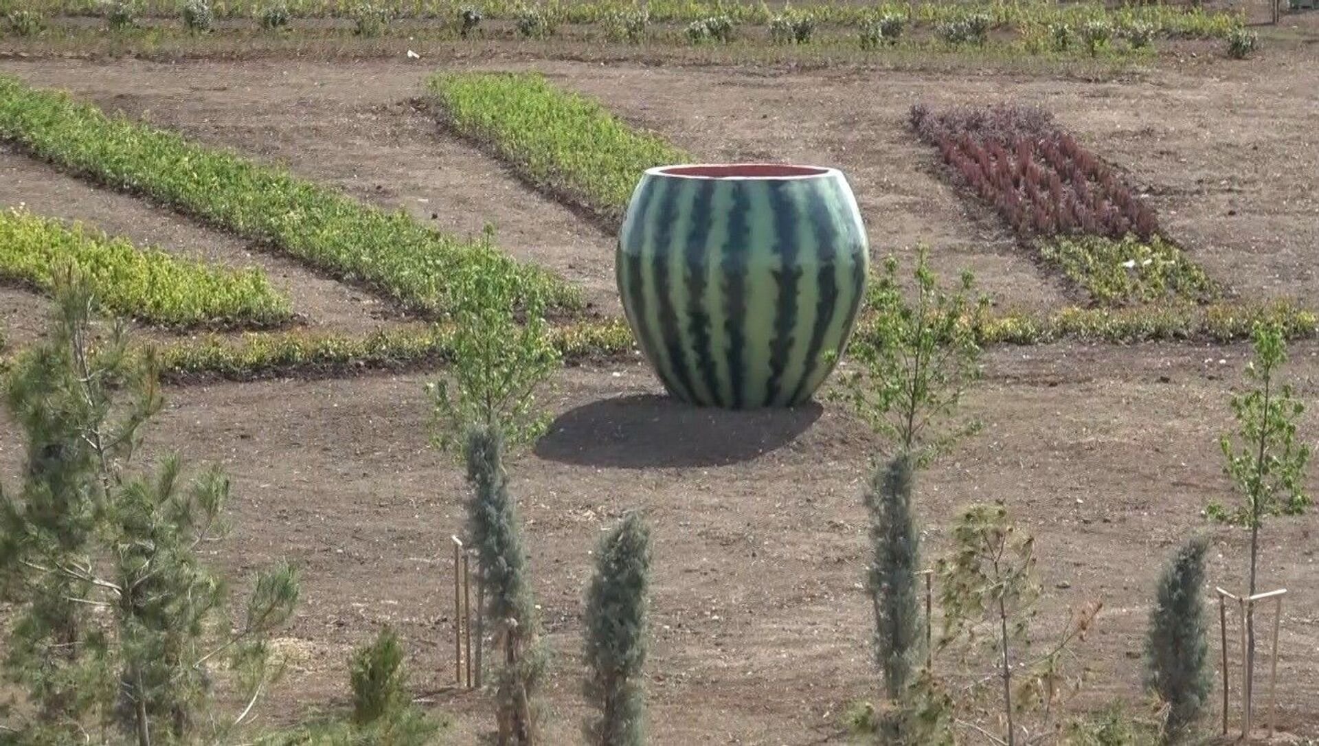Diyarbakır'ın tescilli simgesi: Diyarbakır karpuzu! 6