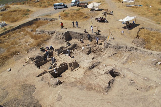 Tepe Höyüğü