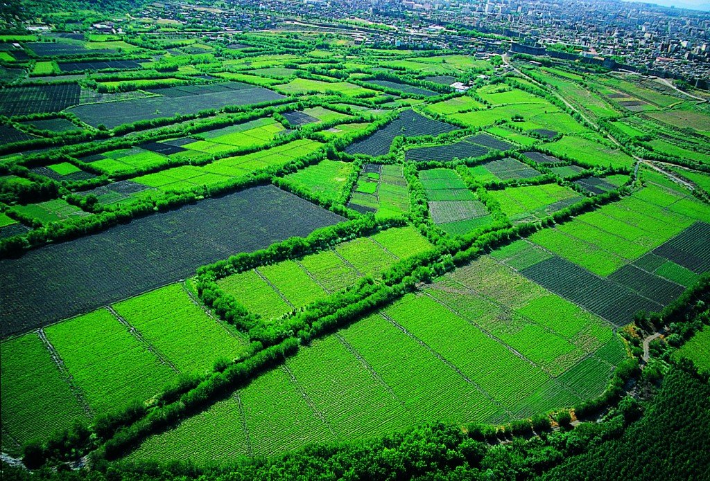 Diyarbakır'ın en güzel mirası: Hevsel Bahçeleri 1