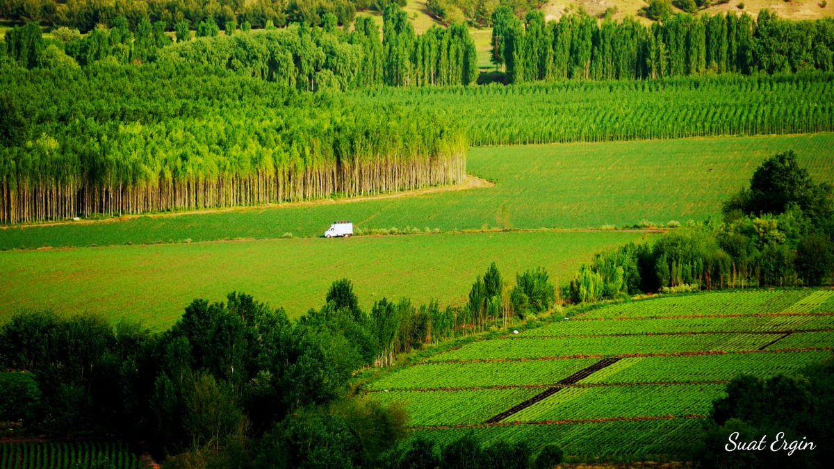 Diyarbakır'ın en güzel mirası: Hevsel Bahçeleri 4