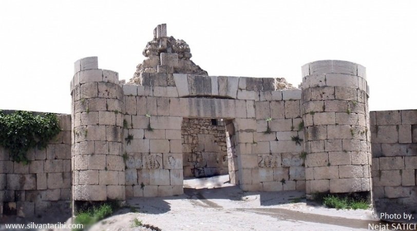 Silvan Kalesi1