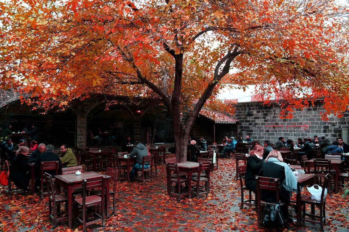 Diyarbakır'ın tarihi ve büyüleyici mekanı: Sülüklü Han 6