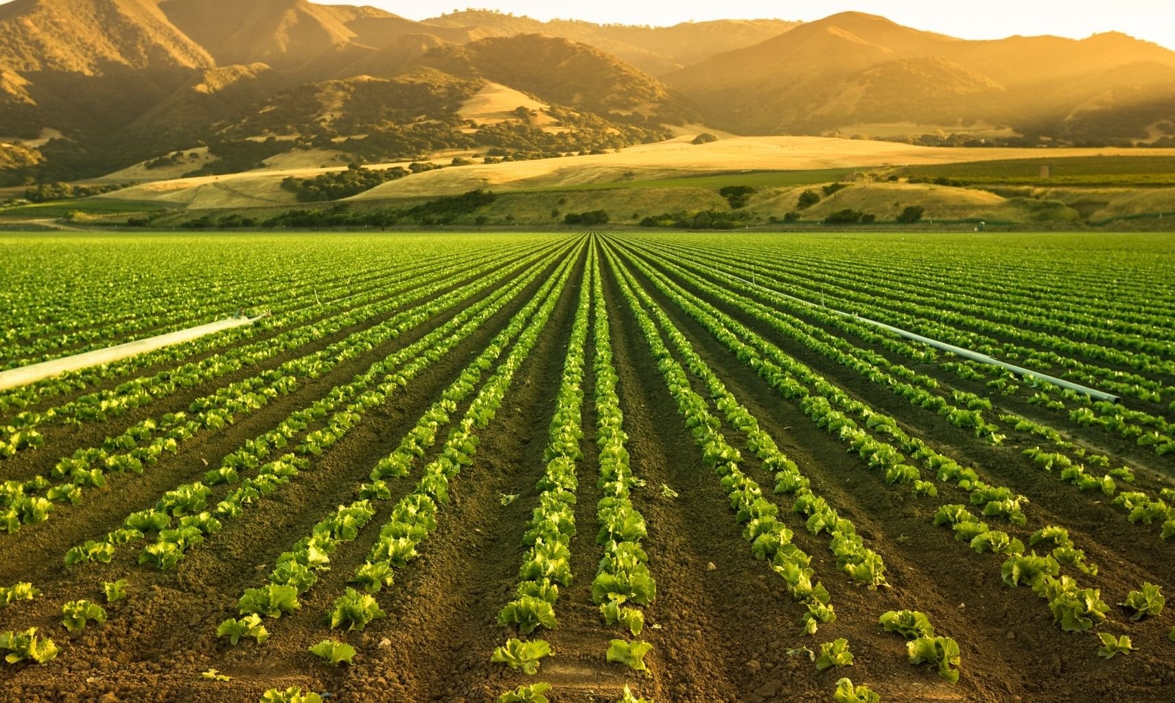 Tarım Kredi Gübre Fiyatları (8)