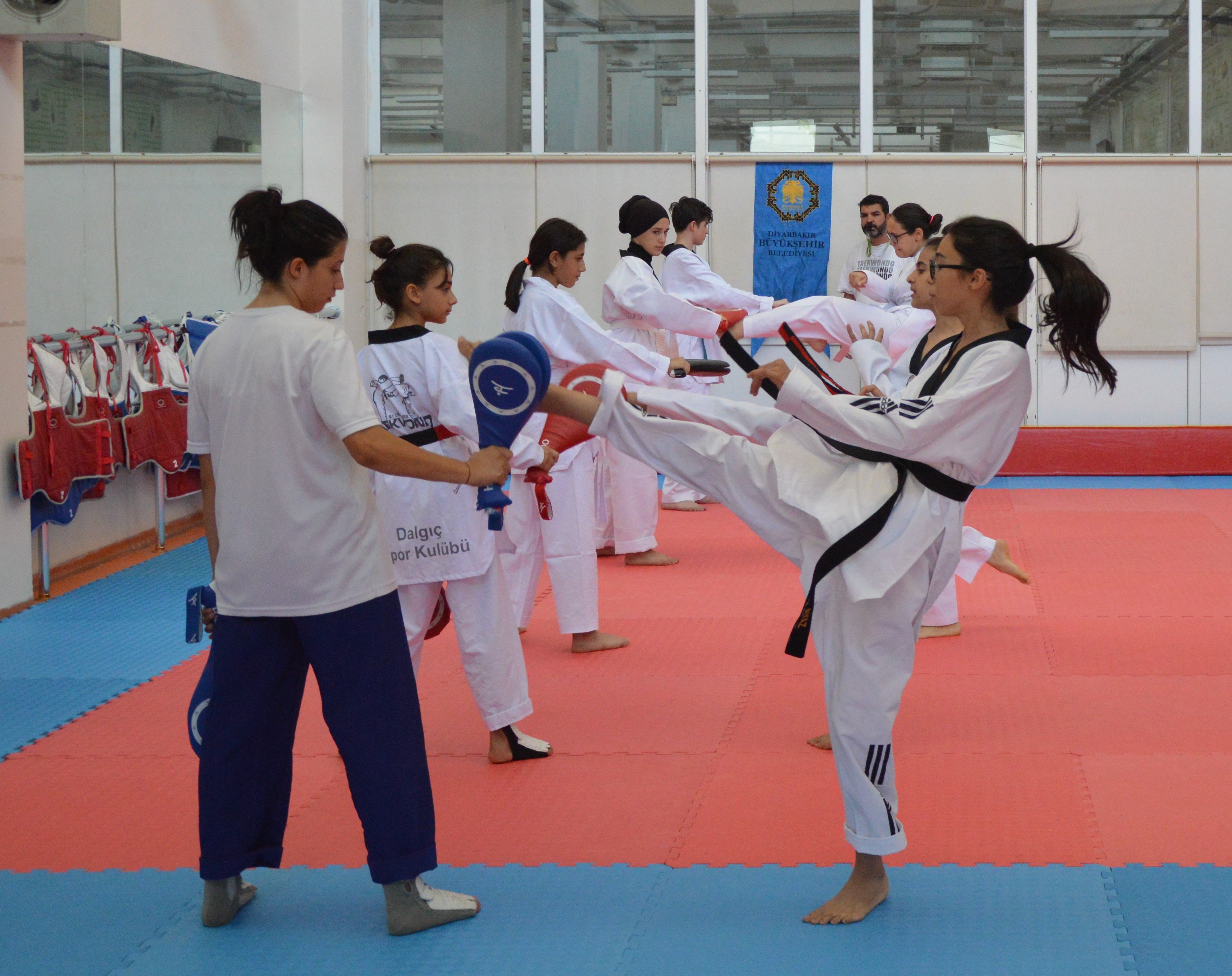 Dbb Diyarbakır.net