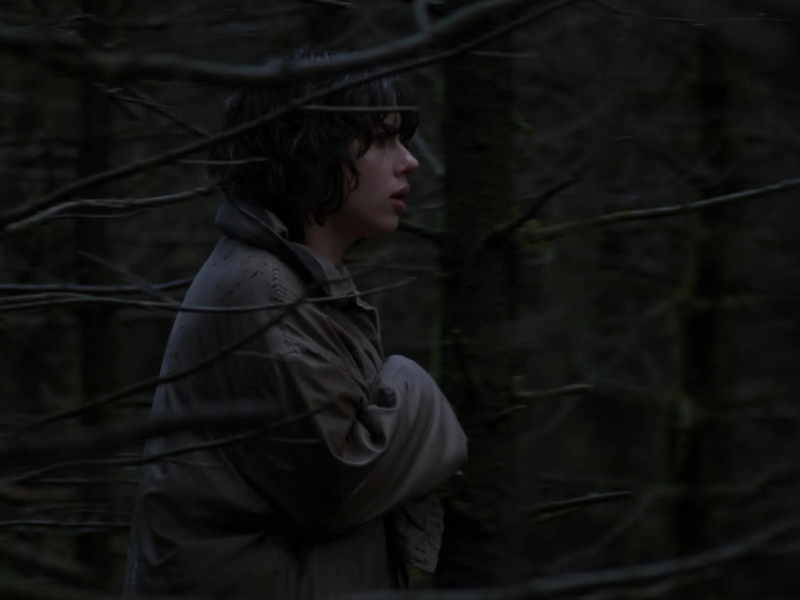 Under The Skin Derinin Altında (2013) 