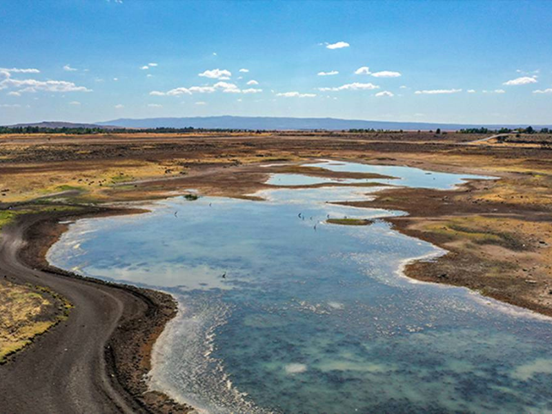 Dicle Üniversitesi-3