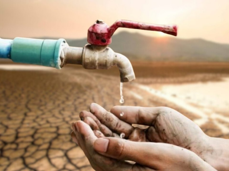 Tarımda Dönüşüm Şart