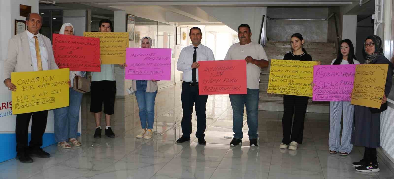 Diyarbakır’da öğrencilerden sokak hayvanlarına sıcak hava duyarlılığı 1