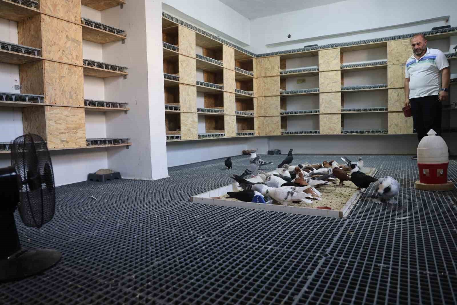 Diyarbakır’da güvercinlere 5 yıldızlı yaz konforu 1