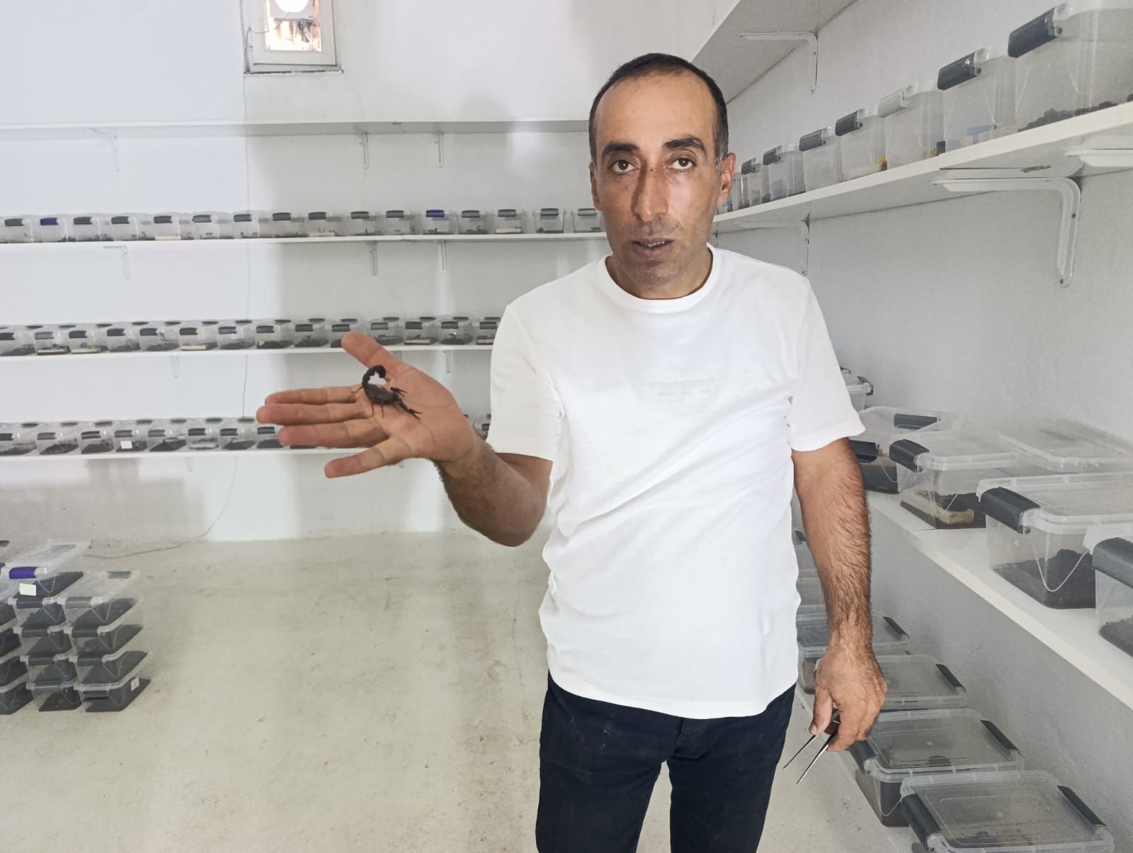 Diyarbakır’da akrep zehri üretimi başladı 3