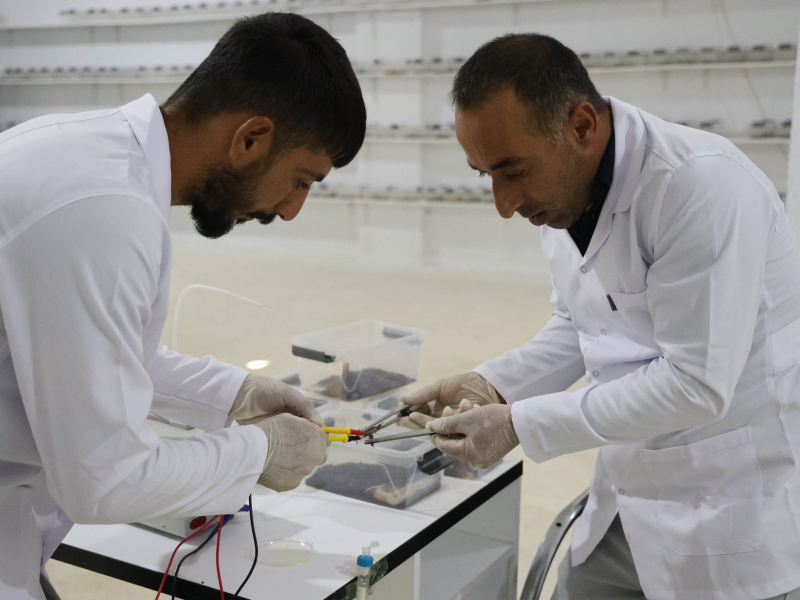 400 Akreple Başladı, 3 Bine Ulaştı
