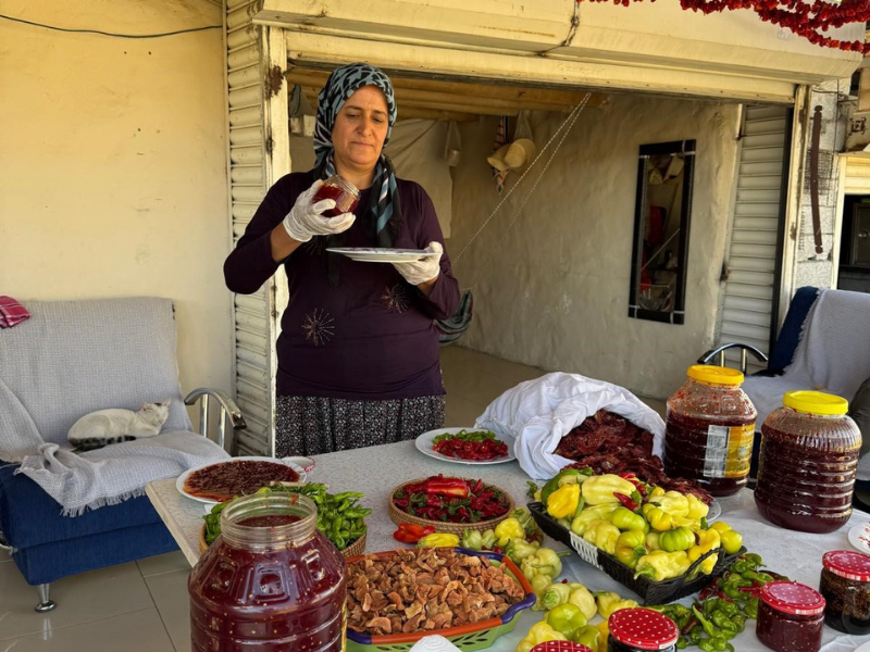 Ankara’dan Köye, Köyden Türkiye’ye