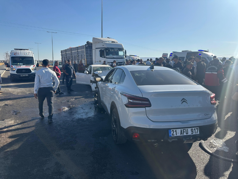 Diyarbakır’ın Kayapınar Ilçesi Yolboyu Pirinçlik