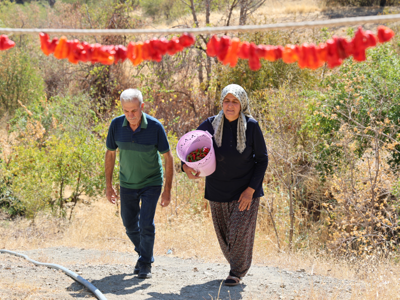 Zeynep Güven, Eşinin