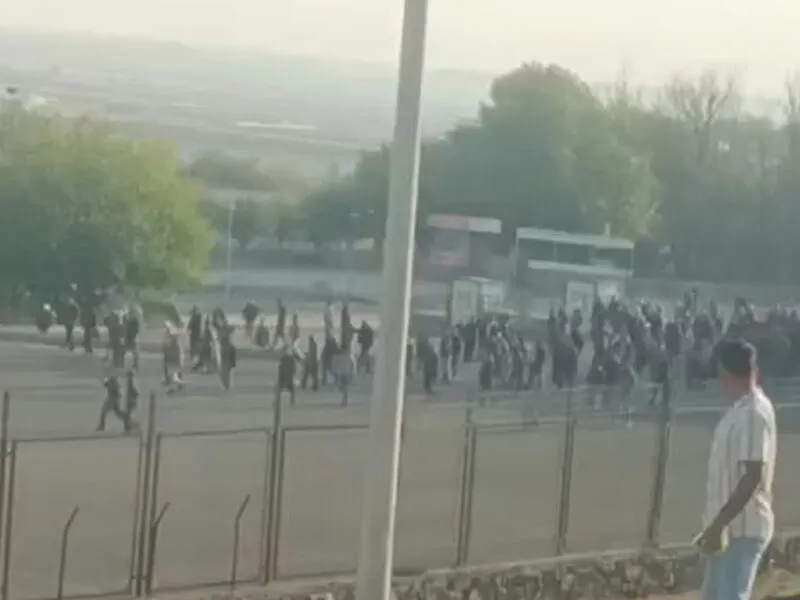 Diyarbakır Canlı Hayvan Borsasında Gergin Anlar2